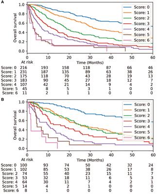 Development and validation of a unifying pre-treatment decision tool for intracranial and extracranial metastasis-directed radiotherapy